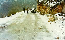 5.jpg (20144 bytes)